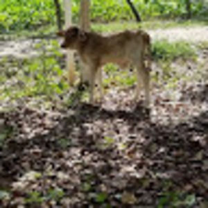 Meet your Posher, Gerald